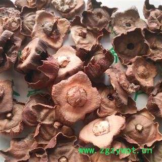 新辉药业柿蒂 各种规格  老柿蒂  柿丁 柿萼图2