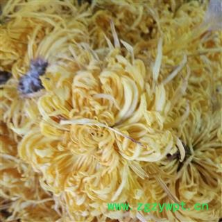 新辉药业精选菊花茶  金丝皇菊 散装盒装 袋装 精美礼品包装盒图2