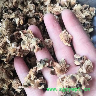 新辉药业扁豆花   南豆花   白扁豆花图3