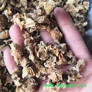 新辉药业扁豆花   南豆花   白扁豆花图2