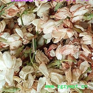 新辉药业茉莉花 福建图2