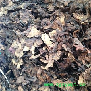 新辉药业正品鸡蛋花图3