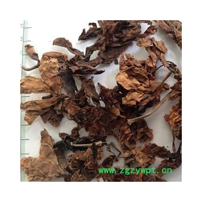 新辉药业正品鸡蛋花