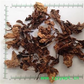 新辉药业正品鸡蛋花图2