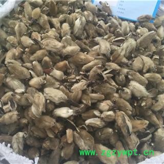 新辉药业正品辛夷花图3