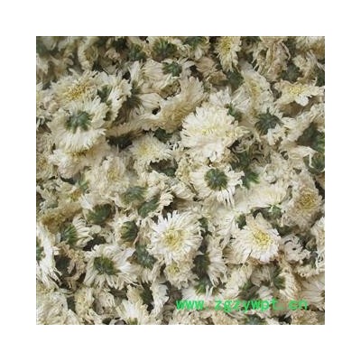 白菊花 精品贡菊花选货 太阳花 产地 安徽省