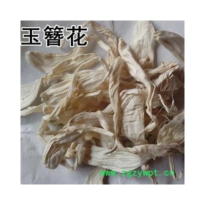 瑞森药材行玉簪花 新货 玉春棒 白鹤花 白鹤仙 白玉簪