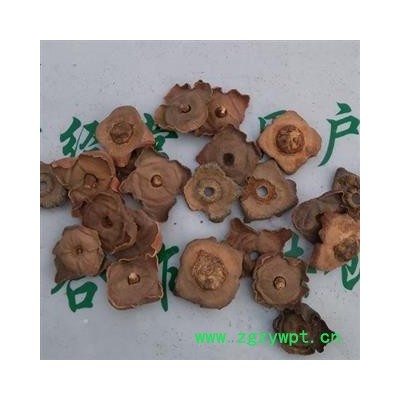 瑞森药材行柿蒂 老柿蒂 柿丁柿蹄 柿钱