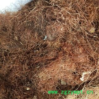 玉米须 玉米须统货 产地 山东 华美中药 产地直销 重在品质图3