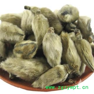 辛夷 统 产地 河南省  华美中药 产地直销 重在品质图2