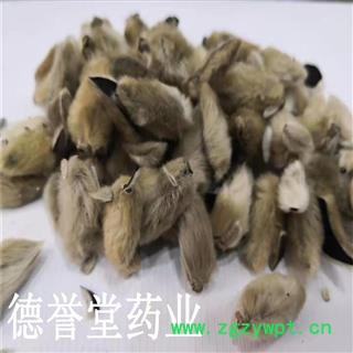 辛夷花  辛夷花干花 选 本店批发零售各种中药材图3