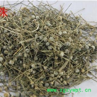 谷精草 统 产地 江苏省 批发各种中药材图3