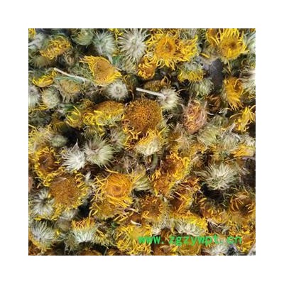 旋复花 旋覆花统货 产地 山东省