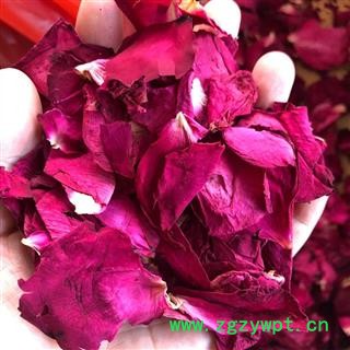 月季花 月季花瓣 产地 山东省 买好药找娟子图3