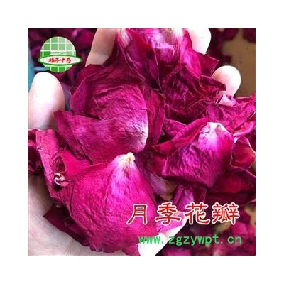 月季花 月季花瓣 产地 山东省 买好药找娟子