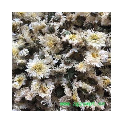 菊花 贡菊  黄山甜贡菊 正品 产地 安徽省 买好药找娟子