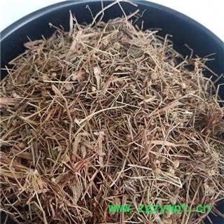 谷精草 统货净货 耳朵刷子、挖耳朵草、鼓槌草、衣钮草、谷精珠、戴星草 产地 河北省 买好药找娟子图3