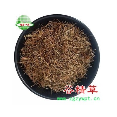 谷精草  统货净货 耳朵刷子、挖耳朵草、鼓槌草、衣钮草、谷精珠、戴星草 产地 河北省 买好药找娟子