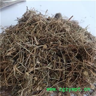 谷精草 统货净货 耳朵刷子、挖耳朵草、鼓槌草、衣钮草、谷精珠、戴星草 产地 河北省 买好药找娟子图2