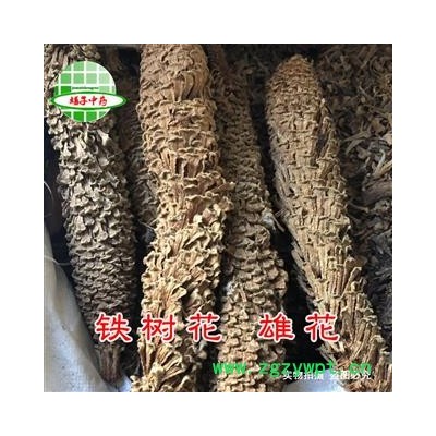 铁树花 铁树花雄花 铁树花公花 选货 产地 四川省 买好药找娟子