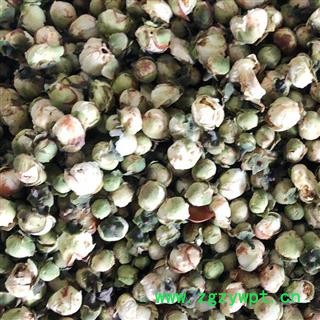 山茶花 山茶花 茶用级别好货 产地 福建省 买好药找娟子图3