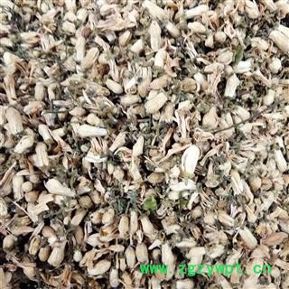 玳玳花 代代花 正品玳玳花 产地 浙江省图2