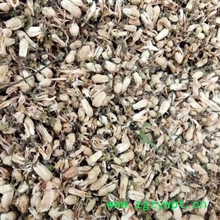 玳玳花 代代花 正品玳玳花 产地 浙江省图3