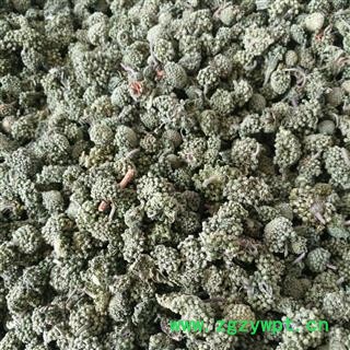 三七花 两年生三七花大统货 产地 云南省图2