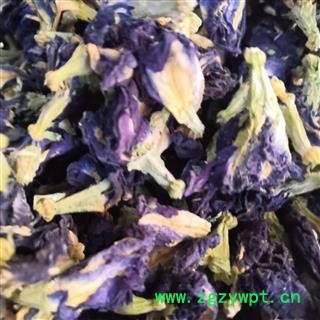 新辉药业优质花草茶 蝴蝶花 蓝蝴蝶 蝶豆花图2