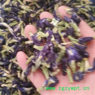 新辉药业优质花草茶 蝴蝶花 蓝蝴蝶 蝶豆花图3
