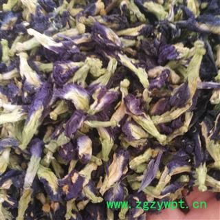 新辉药业优质花草茶 蝴蝶花 蓝蝴蝶 蝶豆花图4