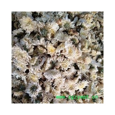 新辉药业优质杭菊 精选花茶