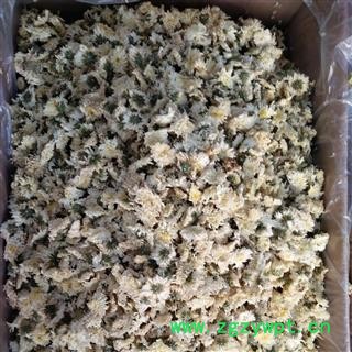 新辉药业优质杭菊 精选花茶图2