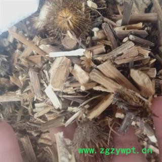 新辉药业中药材紫锥菊 松果菊图2