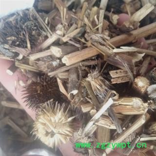 新辉药业中药材紫锥菊 松果菊图3