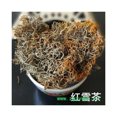 红雪茶 金丝刷 金丝茶 金刷把 红血茶 石蕊
