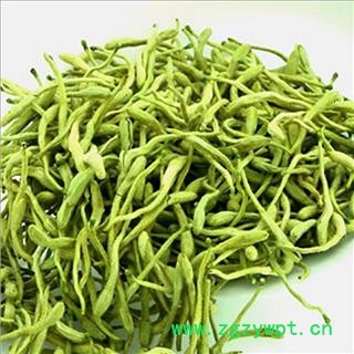 金银花@【华美中药】中药材批发供应【青色金银花选货】图3