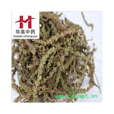 荆芥穗 荆芥穗统货 产地 河北 华美中药 产地直销 重在品质