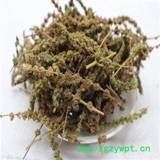 荆芥穗 荆芥穗统货 产地 河北 华美中药 产地直销 重在品质图2