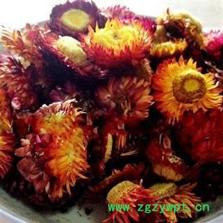 菊花 选 七彩菊 批发零售 各种 花茶 中药材 产地 河南省安阳市安阳县图2