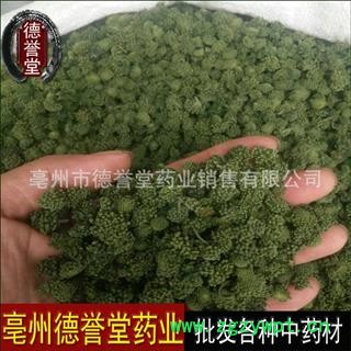 三七花 无柄三七花   产地 云南 德誉堂药业批发各种中药材图4