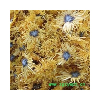 黄菊花 金丝皇菊礼盒佳品散装 金丝黄菊 产地 安徽省 娟子中药行