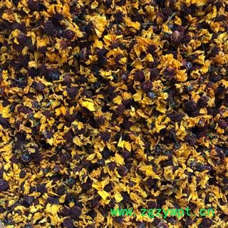 雪菊 雪菊选货 产地 新疆维吾尔自治区 康弛药业图2