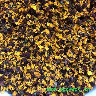 雪菊 雪菊选货 产地 新疆维吾尔自治区 康弛药业图3