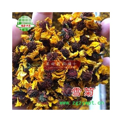 雪菊 雪菊选货 产地 新疆维吾尔自治区 康弛药业