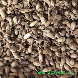 佛手花 佛手花选货 佛柑花 正品 新货 产地 广西壮族自治区 买好药找娟子图4