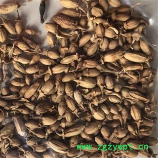 佛手花 佛手花选货 佛柑花 正品 新货 产地 广西壮族自治区 买好药找娟子图2