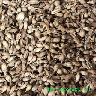 佛手花 佛手花选货 佛柑花 正品 新货 产地 广西壮族自治区 买好药找娟子图3