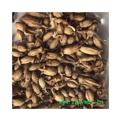 佛手花 佛手花选货 佛柑花 正品 新货 产地 广西壮族自治区 买好药找娟子