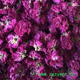 玫瑰花 玫瑰花冠 产地 云南省 买好药找娟子图2